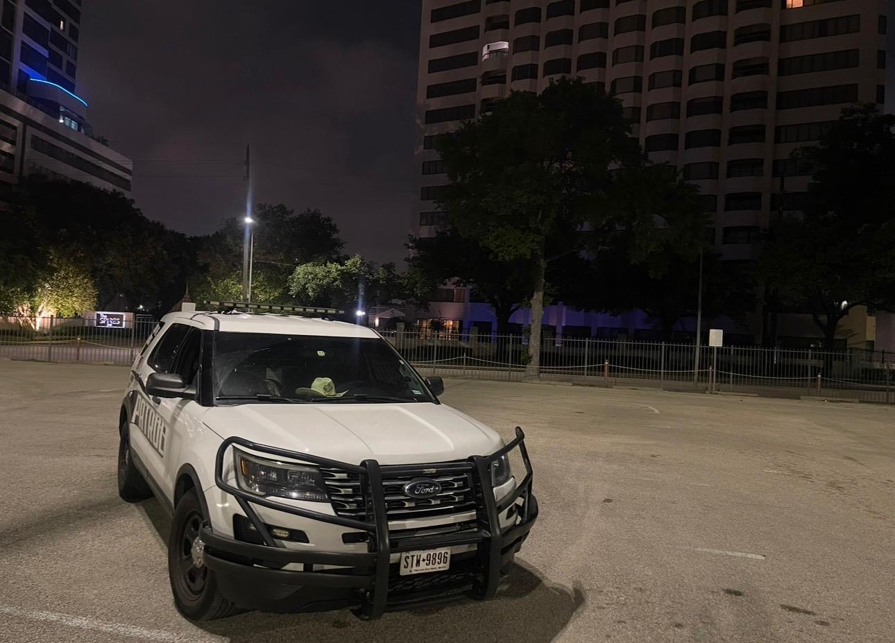 Professional security services